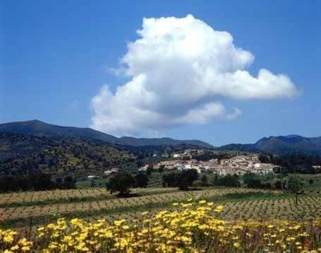Villa Cal Sisco Vilamaniscle Esterno foto